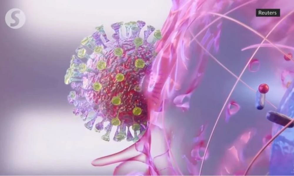 Δείτε πώς ο κορωνοϊός εισέρχεται στο σώμα από ποια κύτταρα «πιάνεται»!